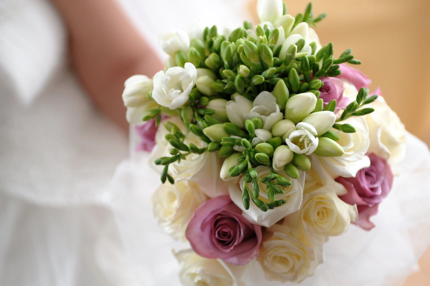 wiliam & alessandra (12)